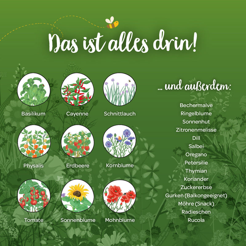 Saatgut-Adventskalender mit 24 Türchen – Bio-Qualität — Ansicht 5