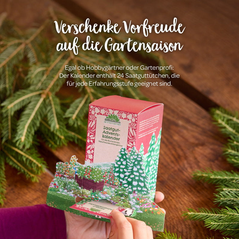 Saatgut-Adventskalender „Winterlandschaft“ – 24 BIO-Sorten — Ansicht 6