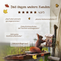 Freiluftbuffet für Eichhörnchen – Naturkarton Futterstation 200g — Ansicht 7