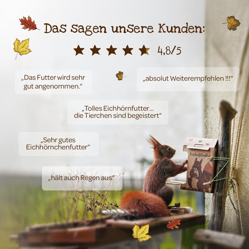 Freiluftbuffet für Eichhörnchen – Naturkarton Futterstation 200g — Ansicht 7