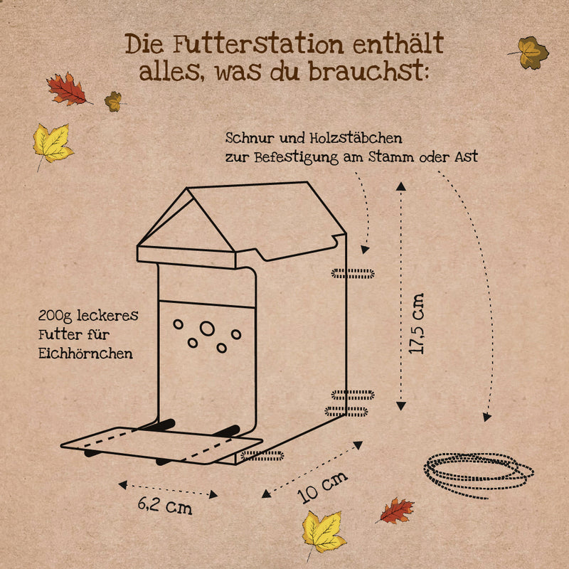 Freiluftbuffet für Eichhörnchen – Naturkarton Futterstation 200g — Ansicht 6