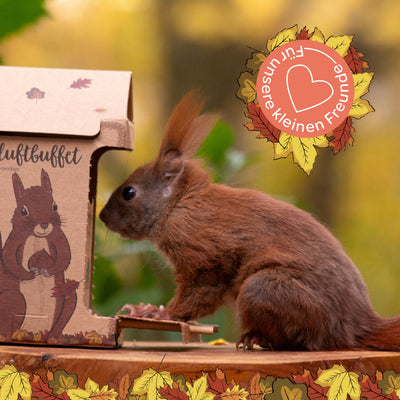 Freiluftbuffet für Eichhörnchen – Naturkarton Futterstation 200g