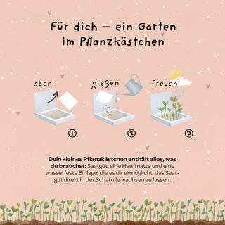 Pflanzkästchen - HDGDL - Hab dich ganz doll lieb