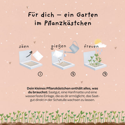 Pflanzkästchen HDGDL – Wildblumensaatgut mit Hanfmatte