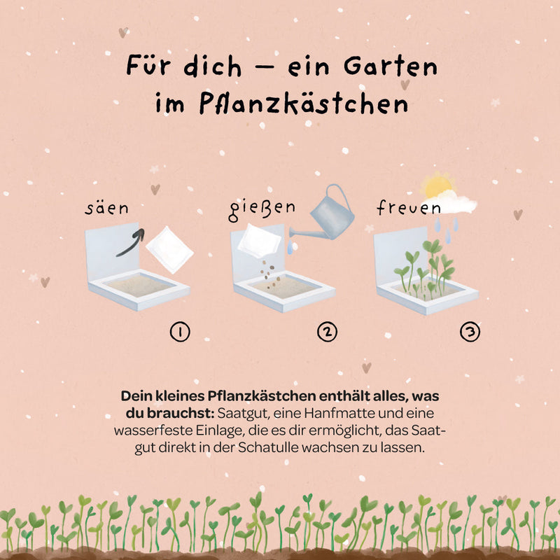 Pflanzkästchen HDGDL – Wildblumensaatgut mit Hanfmatte — Ansicht 4