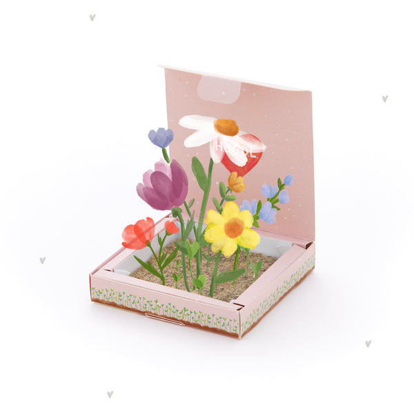 Pflanzkästchen HDGDL – Wildblumensaatgut mit Hanfmatte