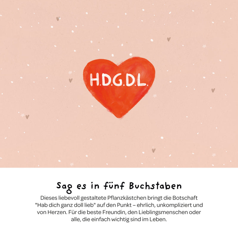Pflanzkästchen HDGDL – Wildblumensaatgut mit Hanfmatte — Ansicht 3