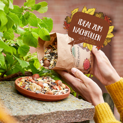 Large Meal – 1 L Squirrel Food with Nuts & Fruits