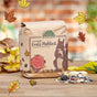 Large Meal – 1 L Squirrel Food with Nuts & Fruits