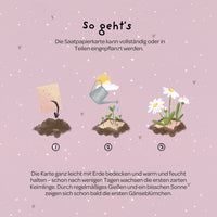 Grußkarte Danke – Saatpapier mit Gänseblümchen — Ansicht 6