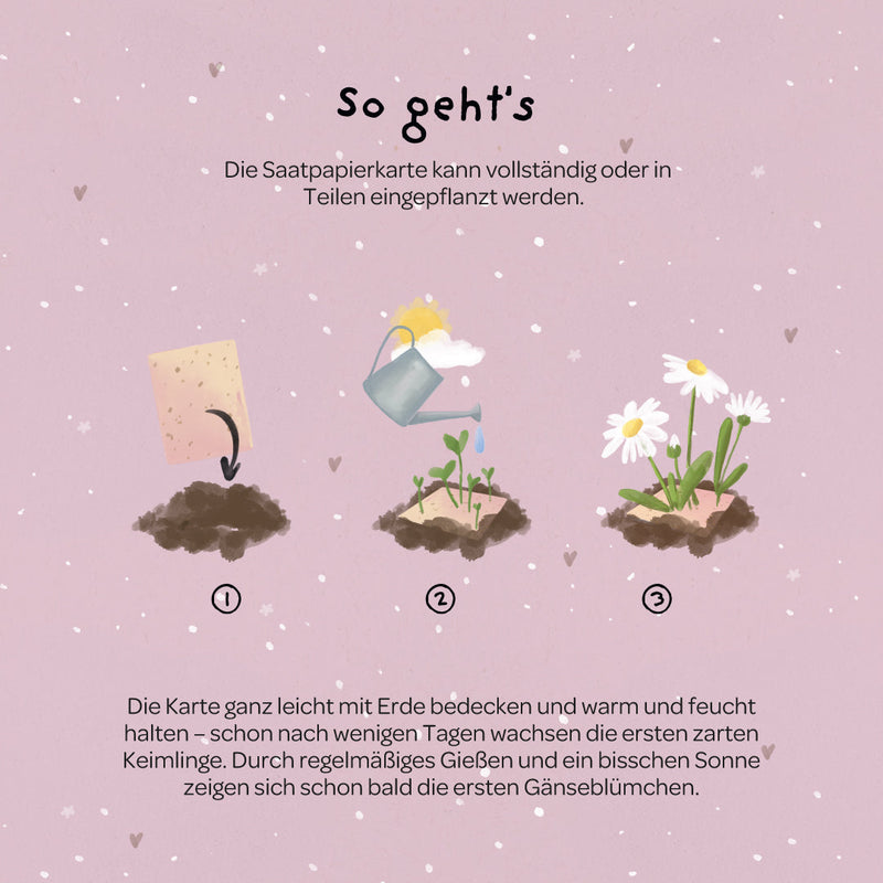 Grußkarte Danke – Saatpapier mit Gänseblümchen — Ansicht 6
