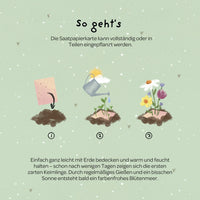 Grußkarte Viel Glück – Saatpapier mit Wildblumensamen — Ansicht 5