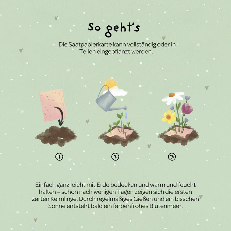 Grußkarte Viel Glück – Saatpapier mit Wildblumensamen — Ansicht 5