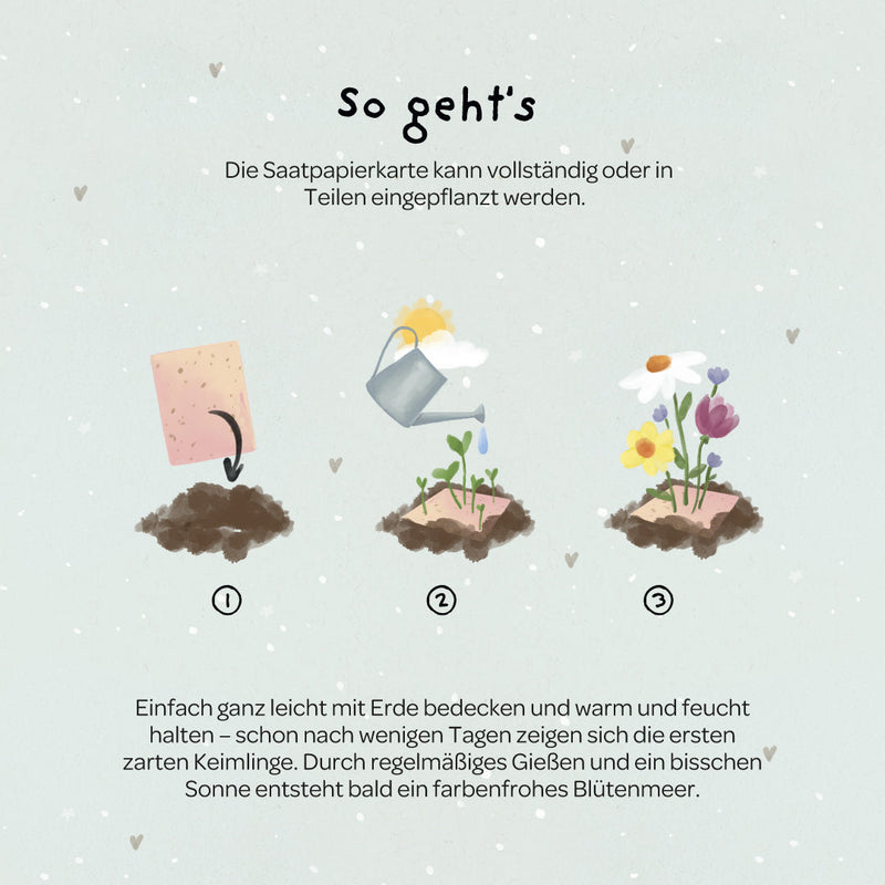 Grußkarte Bee Happy – Saatpapier mit Wildblumensamen — Ansicht 5