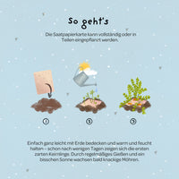 Grußkarte Ich mag dich mit all deinen Karotten – Saatpapier — Ansicht 5