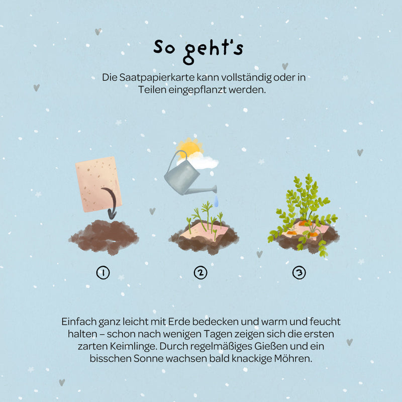 Grußkarte Ich mag dich mit all deinen Karotten – Saatpapier — Ansicht 5