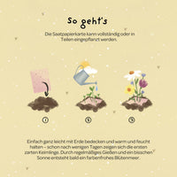 Grußkarte Hoch sollst du leben – Saatpapier mit Wildblumensamen — Ansicht 5
