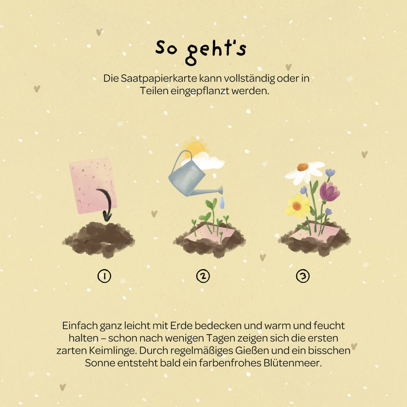 Grußkarte Hoch sollst du leben – Saatpapier mit Wildblumensamen — Ansicht 5