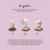 Grußkarte Blumenstrauß zum Selberpflanzen – Saatpapier Wildblumen — Ansicht 5
