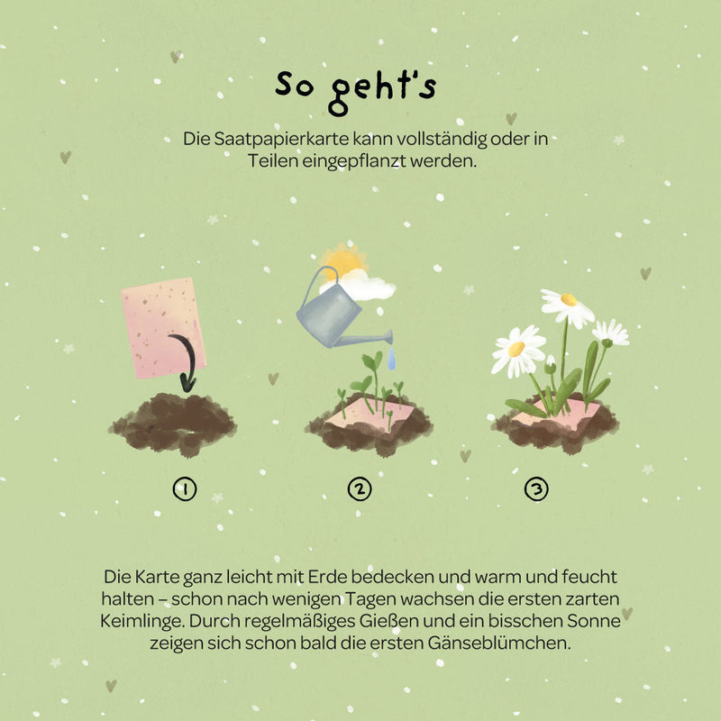 Greeting card "Many thanks" – Seed paper with daisies — Ansicht 5