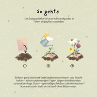 Grußkarte Viel Erfolg – Saatpapier mit Wildblumensamen — Ansicht 5