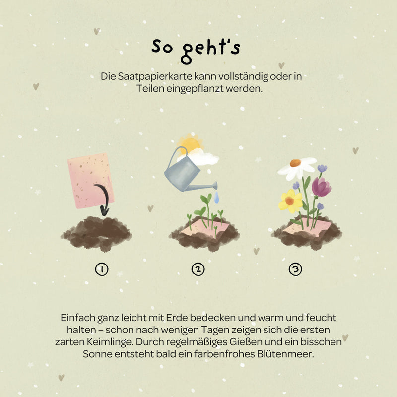 Grußkarte Viel Erfolg – Saatpapier mit Wildblumensamen — Ansicht 5