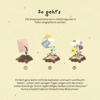 Grußkarte Hallo Sonnenschein – Saatpapier mit Wildblumensamen — Ansicht 5