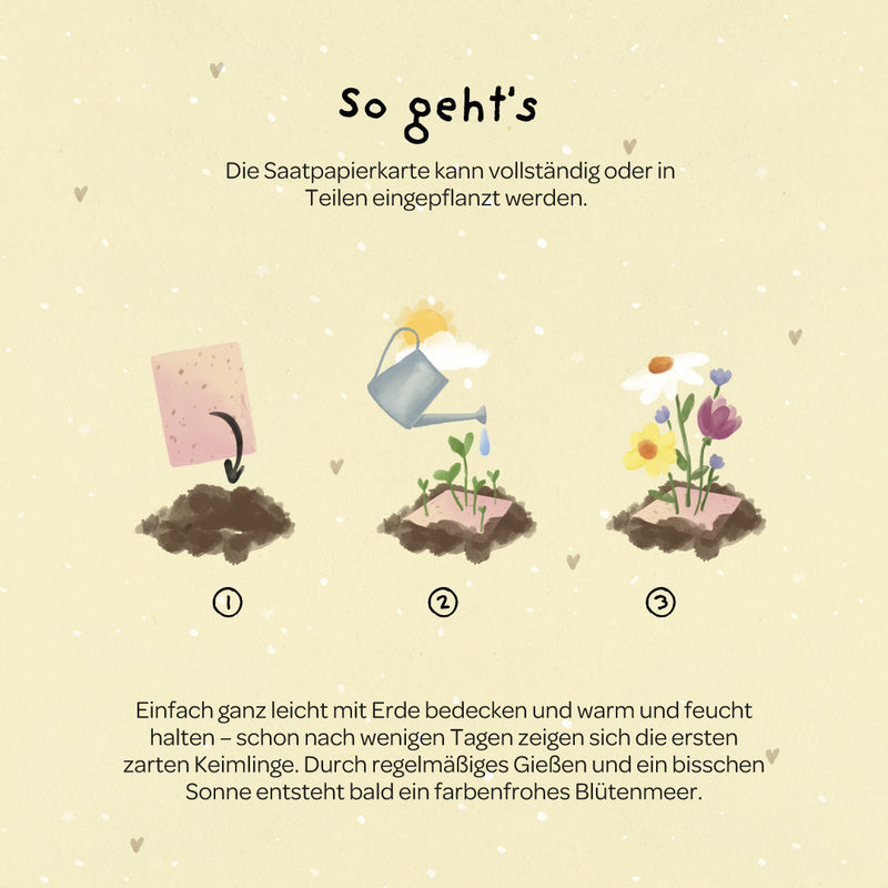 Grußkarte Hallo Sonnenschein – Saatpapier mit Wildblumensamen — Ansicht 5