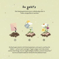 Grußkarte Gurke Besserung – Saatpapier mit Wildblumensamen — Ansicht 5