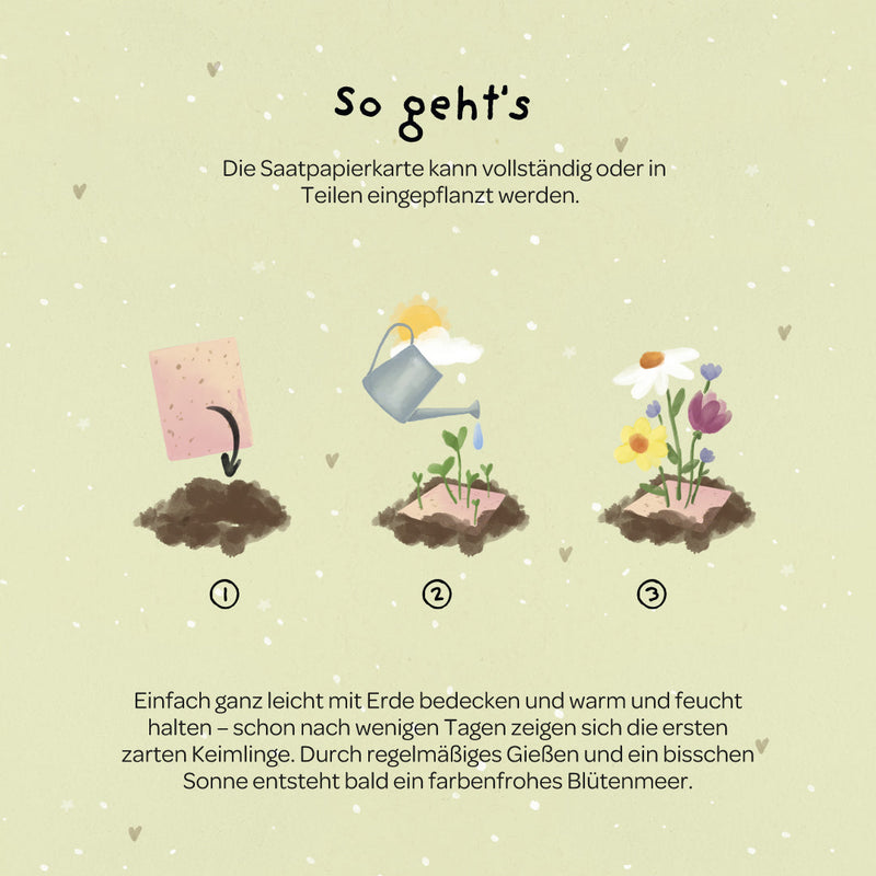 Grußkarte Gurke Besserung – Saatpapier mit Wildblumensamen — Ansicht 5