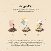 Grußkarte Alles Gute zum Geburtstag – Saatpapier mit Wildblumensamen — Ansicht 6