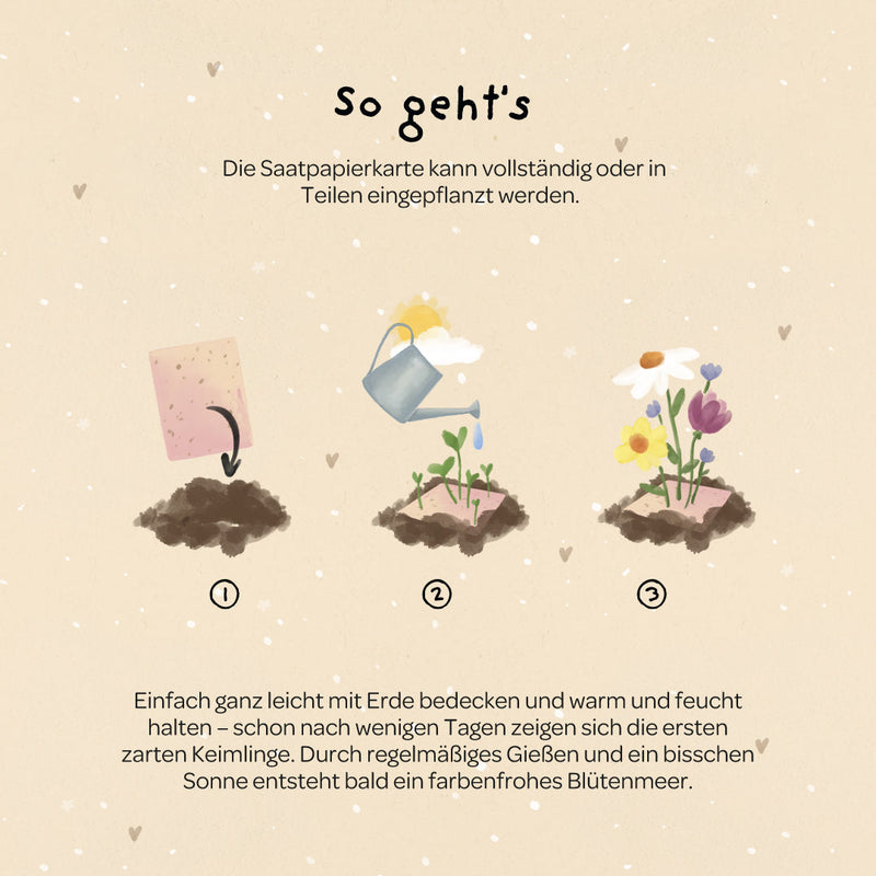 Grußkarte Alles Gute zum Geburtstag – Saatpapier mit Wildblumensamen — Ansicht 6