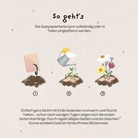 Grußkarte Du wunderschönes Geburtstagskind – Saatpapier mit Wildblumensamen — Ansicht 5