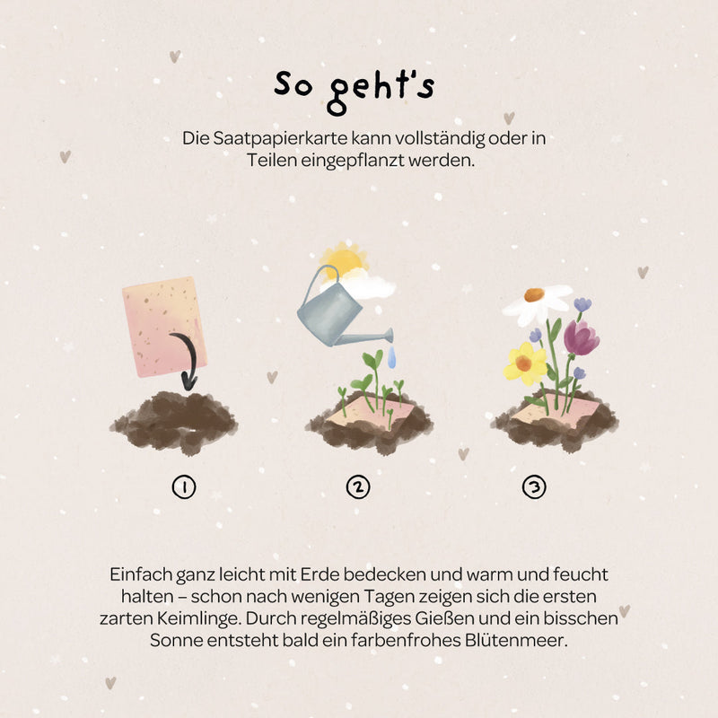Grußkarte Du wunderschönes Geburtstagskind – Saatpapier mit Wildblumensamen — Ansicht 5
