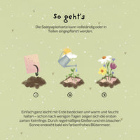 Grußkarte „Hat die Blume einen Knick, war die Hummel wohl zu dick“ – Saatpapier mit Wildblumensamen — Ansicht 6