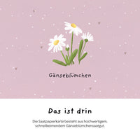 Grußkarte Danke – Saatpapier mit Gänseblümchen — Ansicht 5