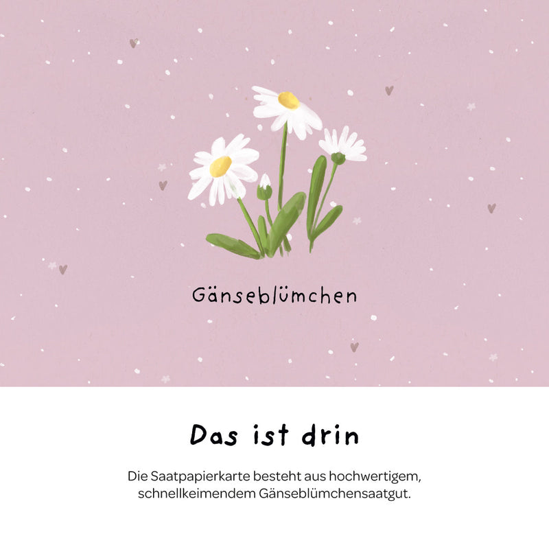 Grußkarte Danke – Saatpapier mit Gänseblümchen — Ansicht 5