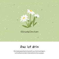 Greeting card "Many thanks" – Seed paper with daisies — Ansicht 6