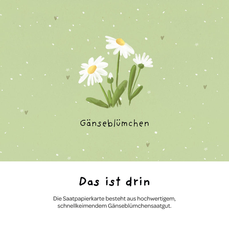 Greeting card "Many thanks" – Seed paper with daisies — Ansicht 6