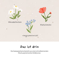 Grußkarte Du wunderschönes Geburtstagskind – Saatpapier mit Wildblumensamen — Ansicht 6