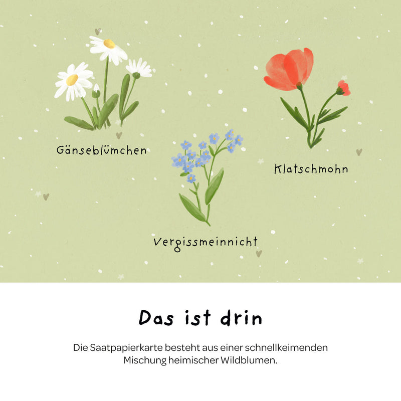Grußkarte „Hat die Blume einen Knick, war die Hummel wohl zu dick“ – Saatpapier mit Wildblumensamen — Ansicht 5