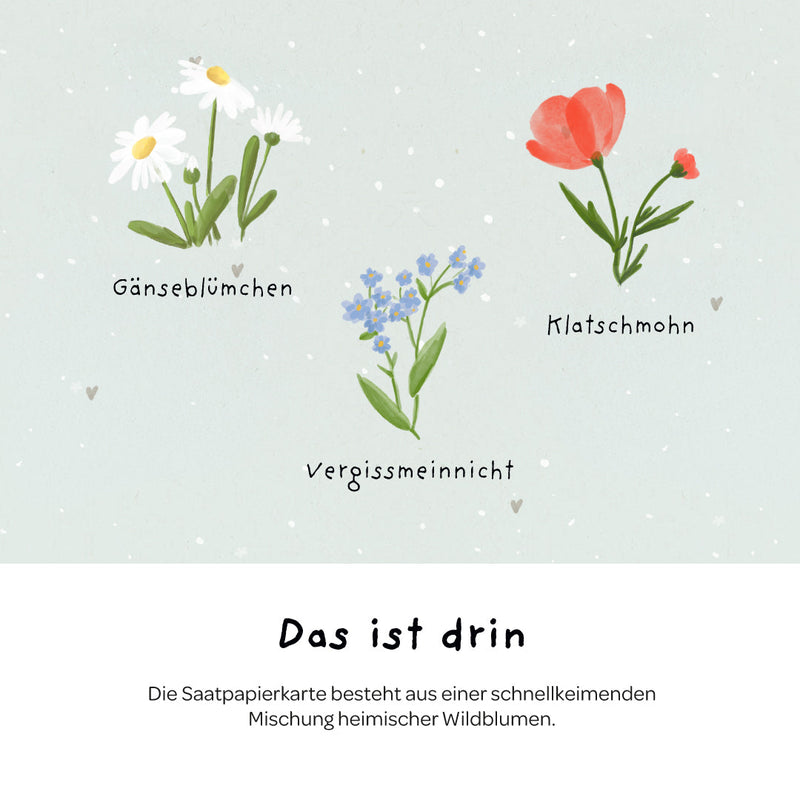 Grußkarte Bee Happy – Saatpapier mit Wildblumensamen — Ansicht 6