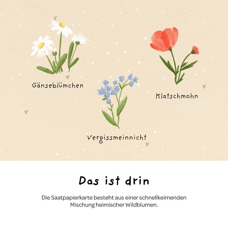Grußkarte Alles Gute zum Geburtstag – Saatpapier mit Wildblumensamen — Ansicht 5