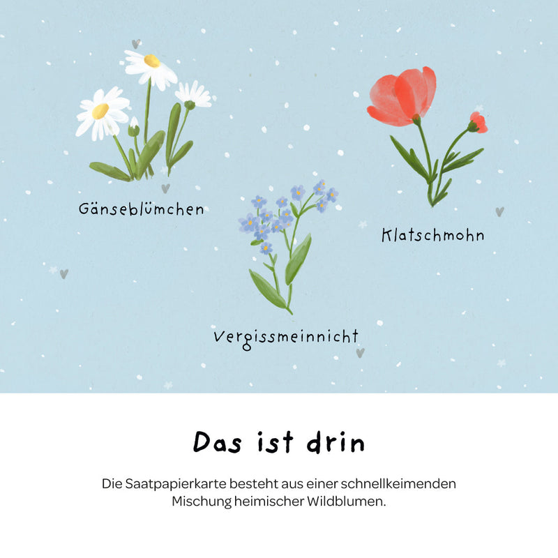 Grußkarte „Du bist nie zu klein, um großartig zu sein“ – Saatpapier mit Wildblumensamen — Ansicht 6