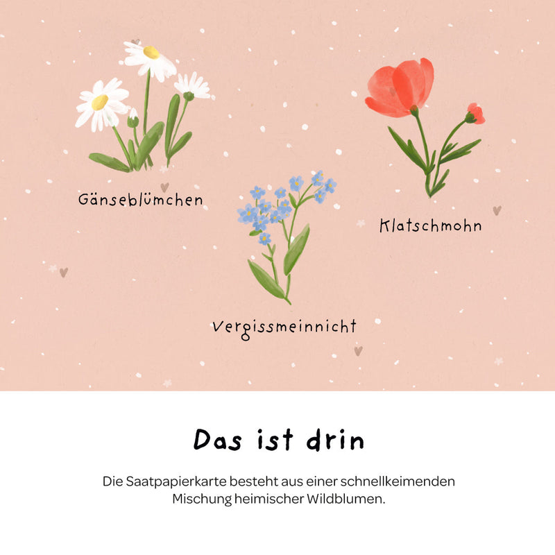 Grußkarte HDGDL – Saatpapier mit Wildblumensamen — Ansicht 6