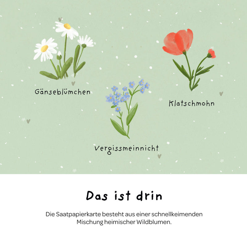 Grußkarte Viel Glück – Saatpapier mit Wildblumensamen — Ansicht 6