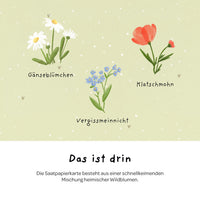Grußkarte Gurke Besserung – Saatpapier mit Wildblumensamen — Ansicht 6