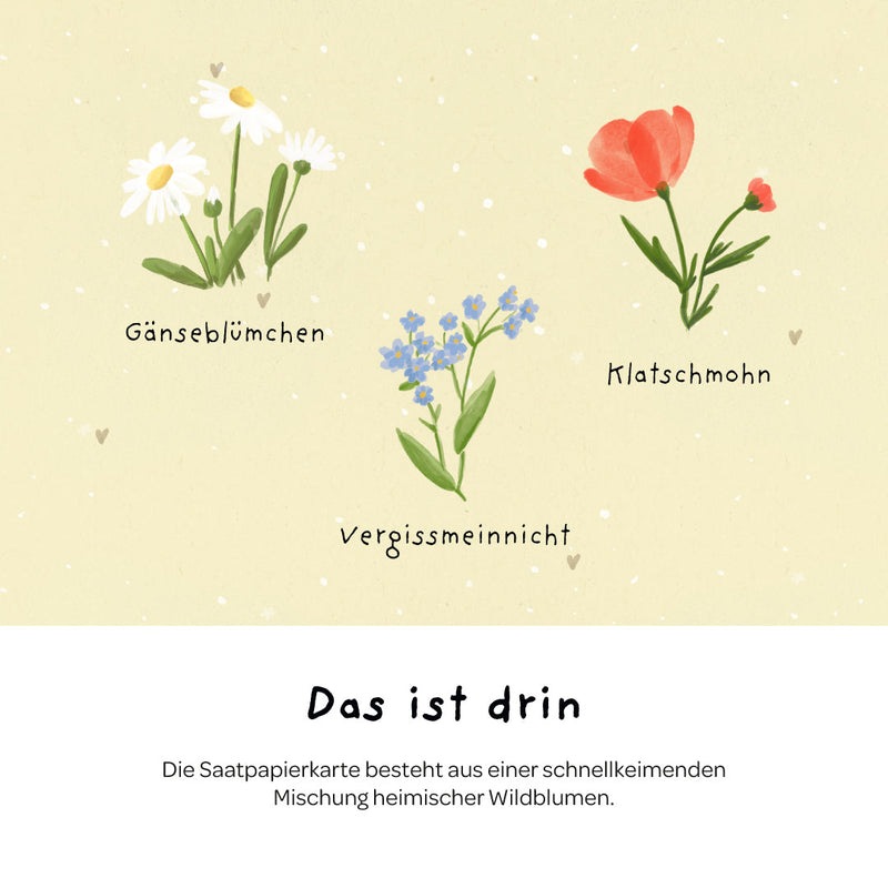 Grußkarte Hallo Sonnenschein – Saatpapier mit Wildblumensamen — Ansicht 6