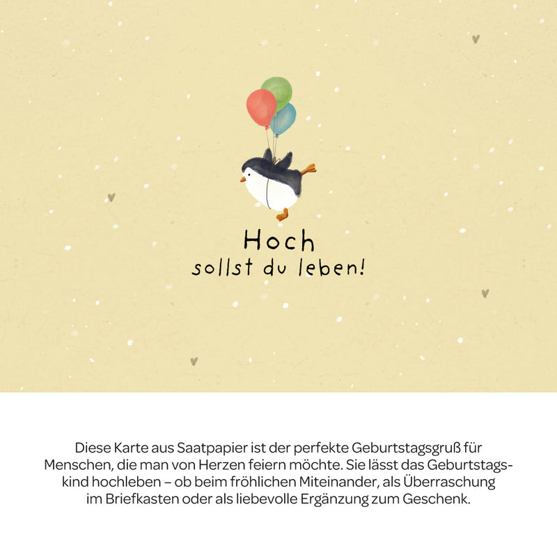 Grußkarte Hoch sollst du leben – Saatpapier mit Wildblumensamen — Ansicht 3