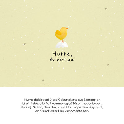 Grußkarte Hurra, du bist da! – Saatpapier mit Wildblumensamen